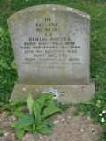 image number Moyes Bertie 112